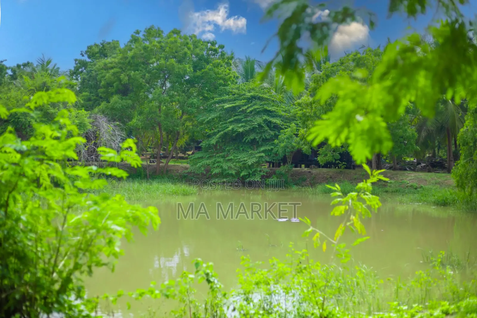 Furnished 20bdrm Villa in Echo Villa, Tissamaharama for rent