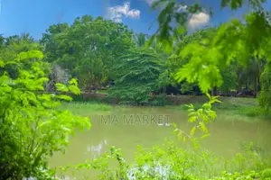 Furnished 20bdrm Villa in Echo Villa, Tissamaharama for rent