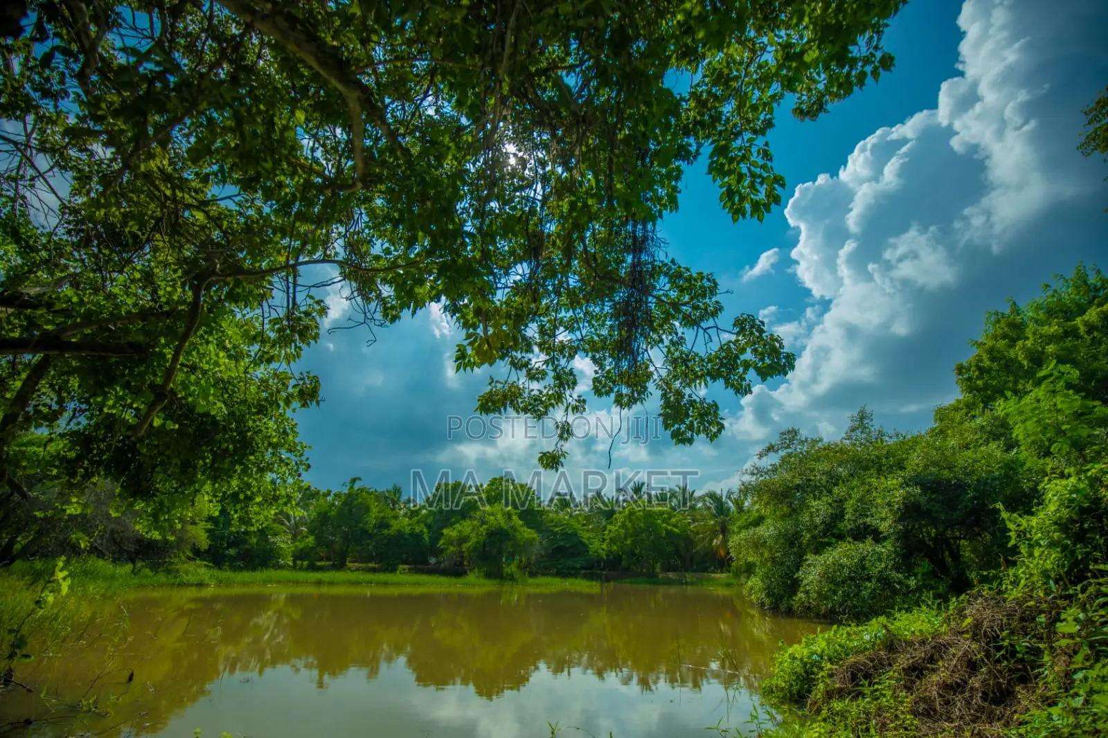 Furnished 20bdrm Villa in Echo Villa, Tissamaharama for rent