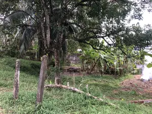 Best Land for Sale