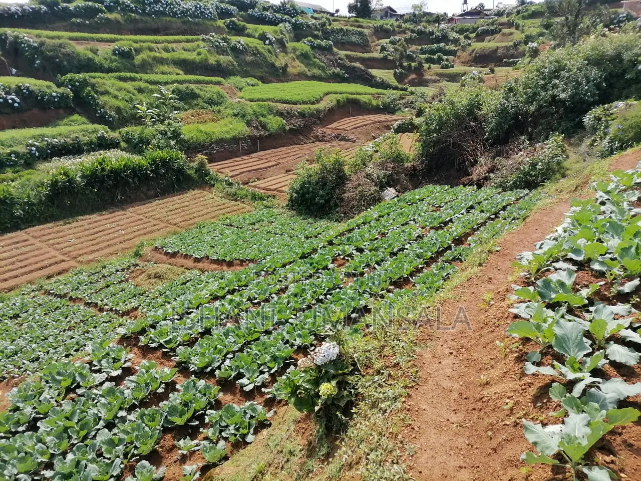 4bdrm House in Nuwara Eliya City for sale