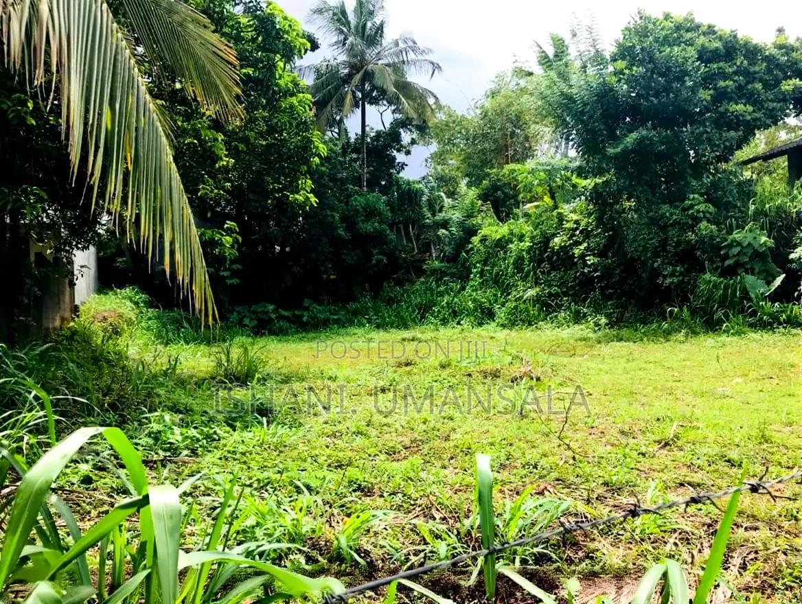 අතුරුගිරියෙන් පර්චස් 16ක අගනා ඉඩමක් ඉක්මණින් විකිණීමට (Athurugiriya)