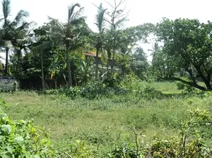 අතුරුගිරියෙන් පර්චස් 16ක අගනා ඉඩමක් ඉක්මණින් විකිණීමට (Athurugiriya)