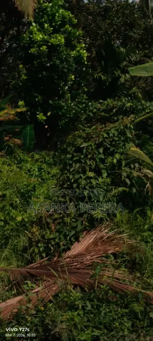 3 Perches Land for Sale for 15 LKS