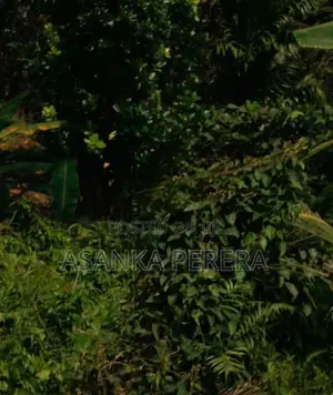 3 Perches Land for Sale for 15 LKS