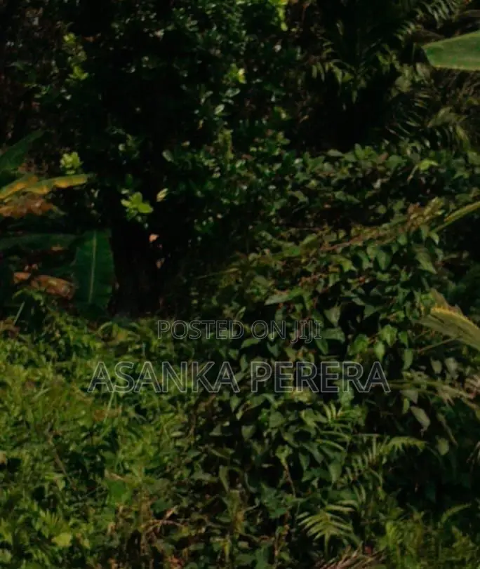 3 Perches Land for Sale for 15 LKS