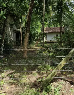 Minuwangoda Land for Sale