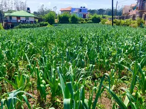 Land for Sale in Nuwara Eliya