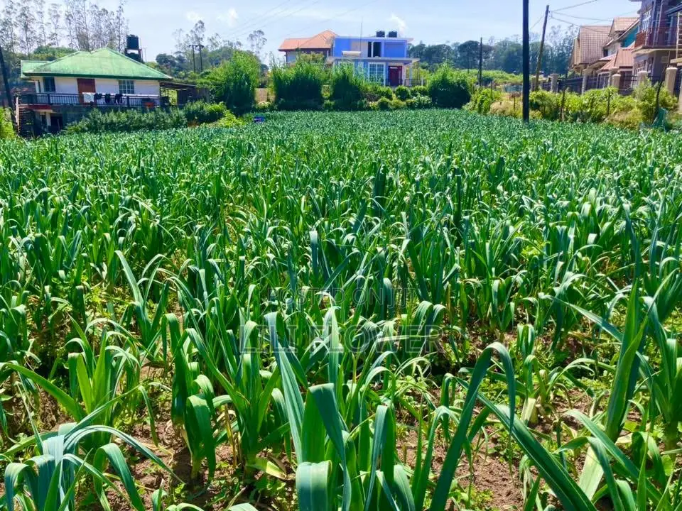 Land for Sale in Nuwara Eliya