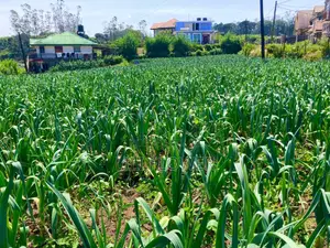 Land for Sale in Nuwara Eliya