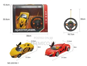 Racing Car With Remote Control(Simulation Car)