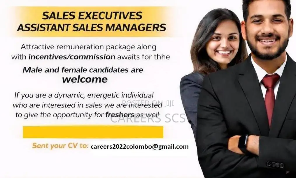 Sales Executive