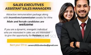Sales Executive