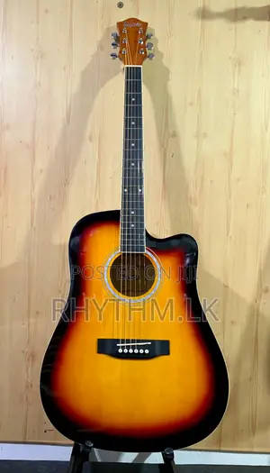 Brand New Acoustic Guitars (Size 41") for the Best Price in Sl