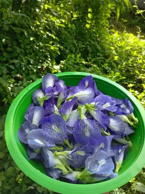 Natural Blue Tea – Butterfly Pea Flower