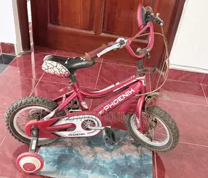 Kids Phoenix Bicycle With Training Wheels