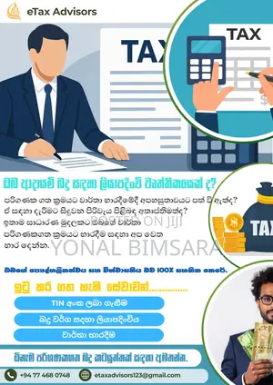 Tax Consultation