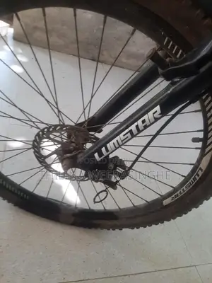 Lumstar Mountain Bike