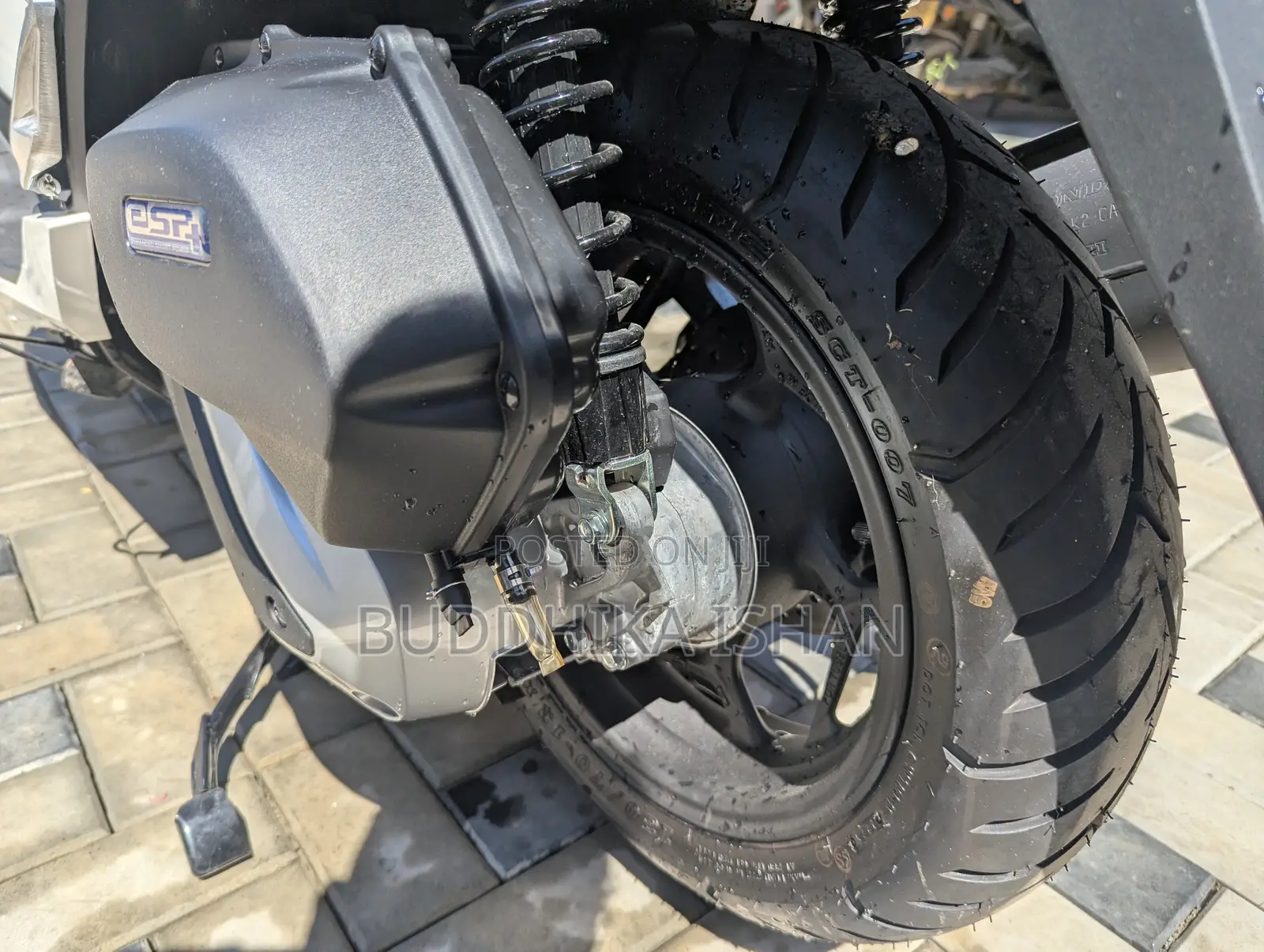 New Honda 2025 White