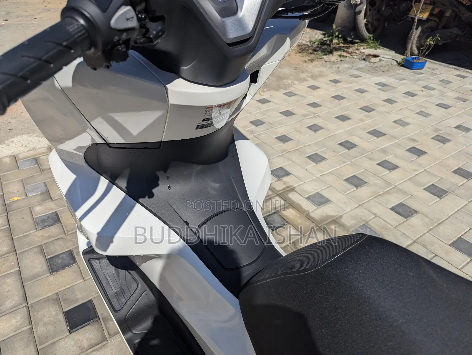 New Honda 2025 White