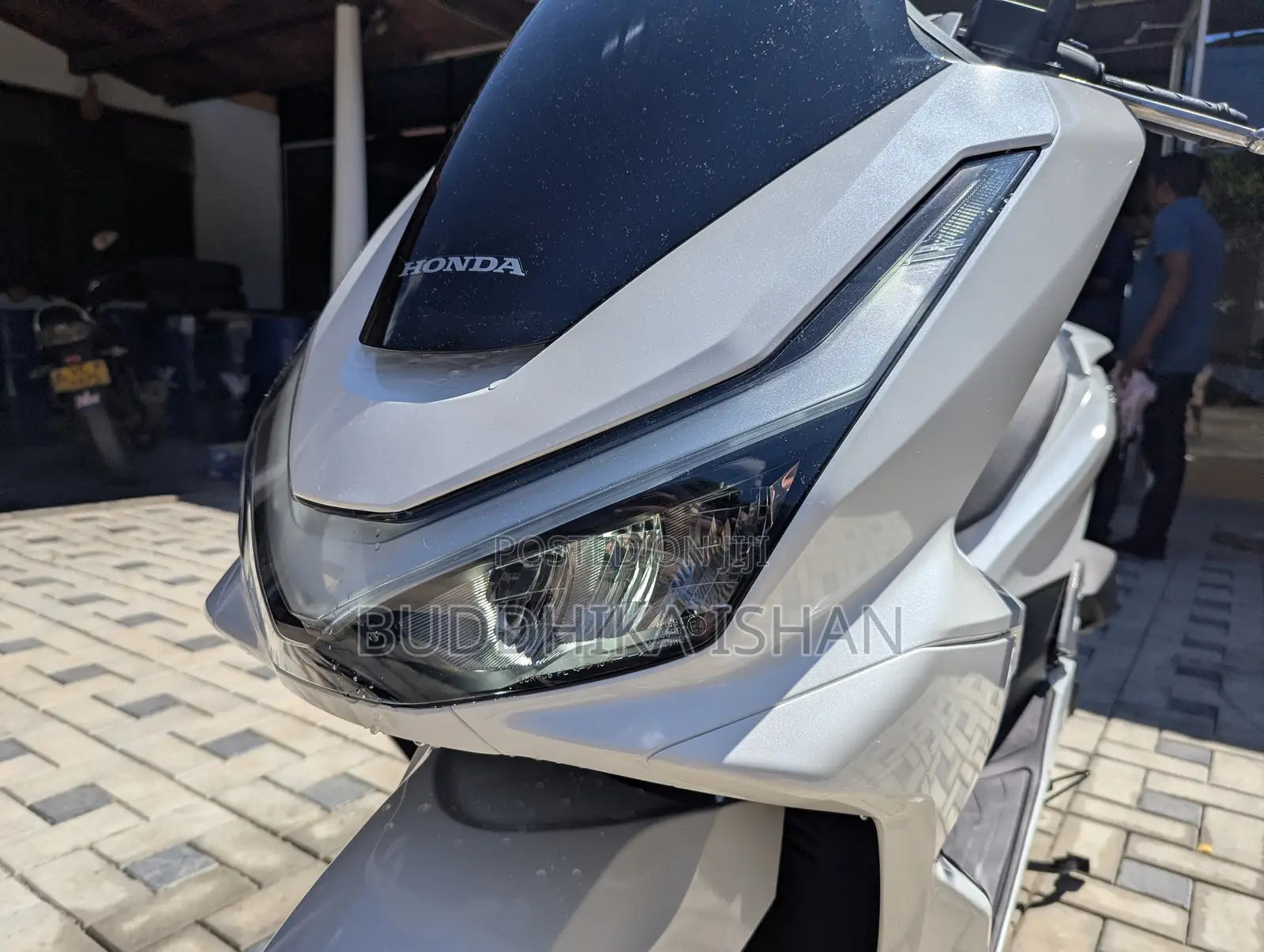 New Honda 2025 White