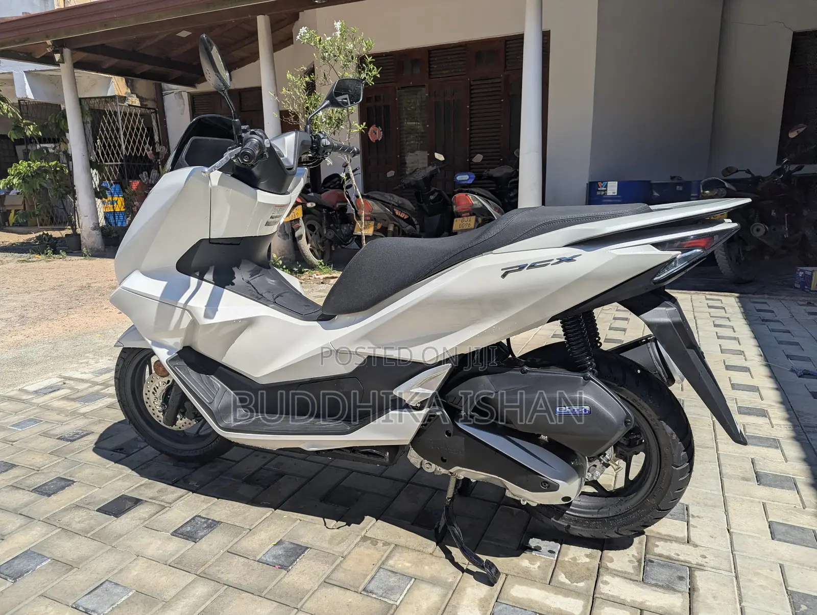 New Honda 2025 White