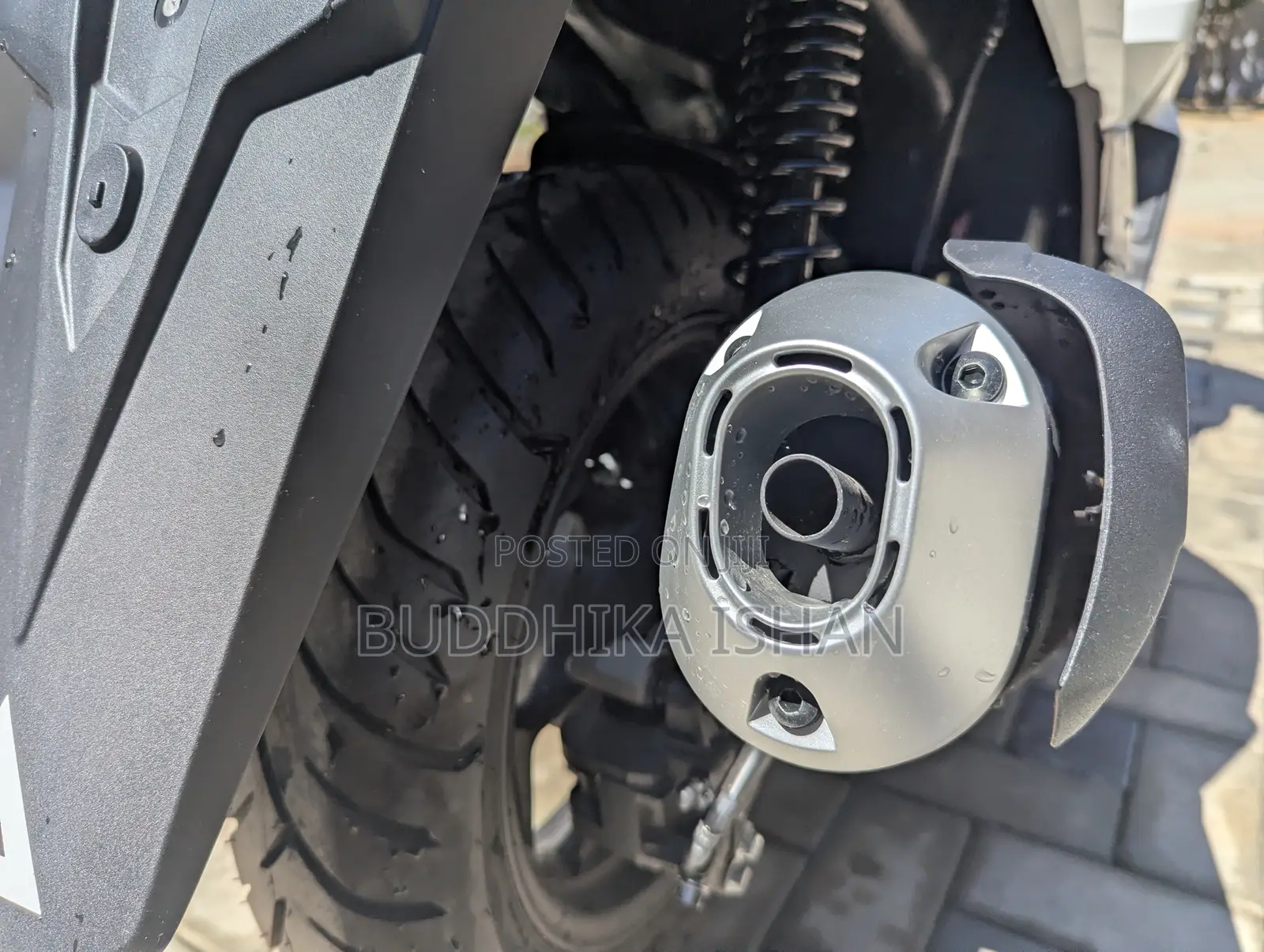 New Honda 2025 White