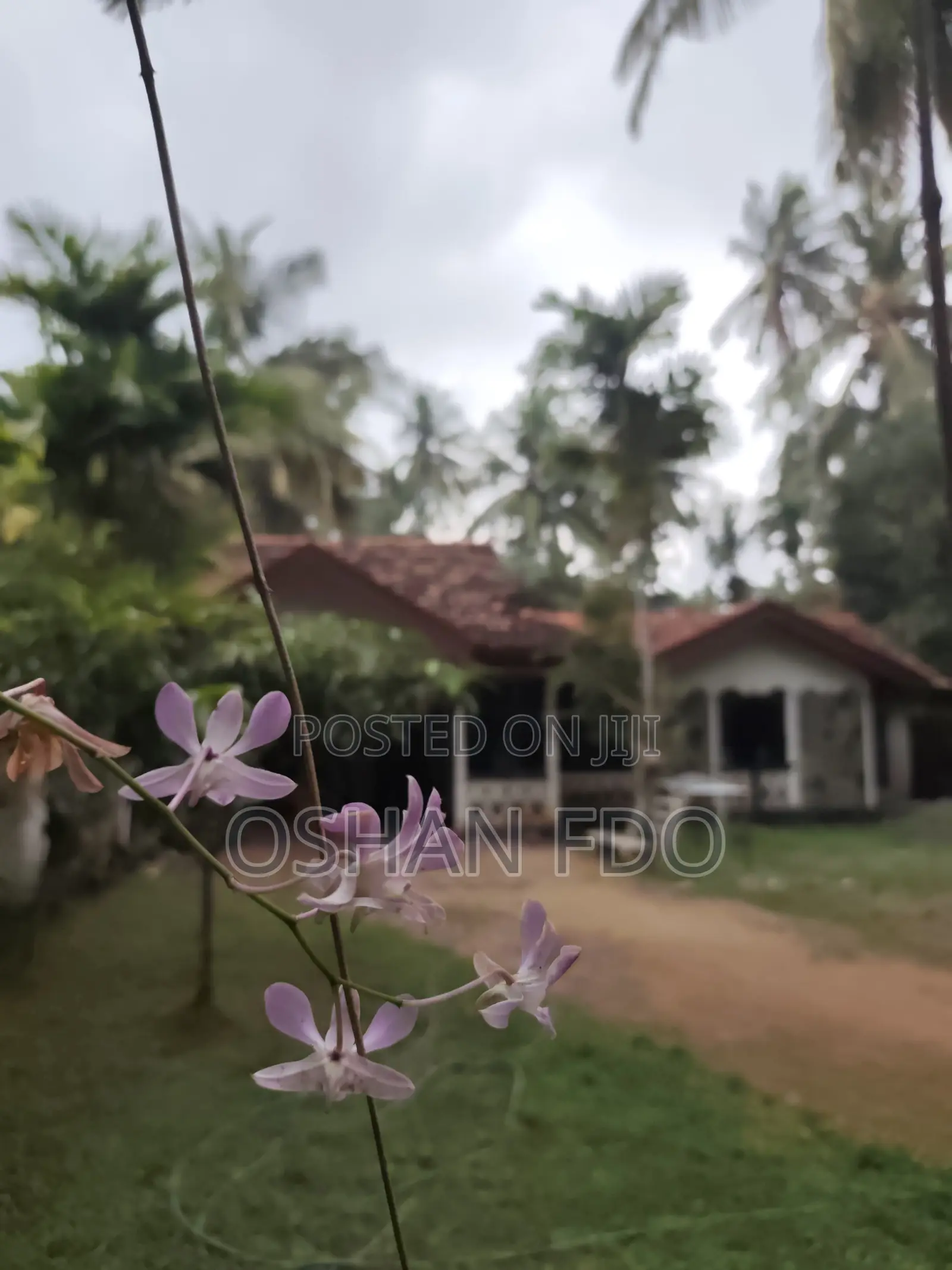 Furnished 3bdrm House in Oshen, Madampe for sale