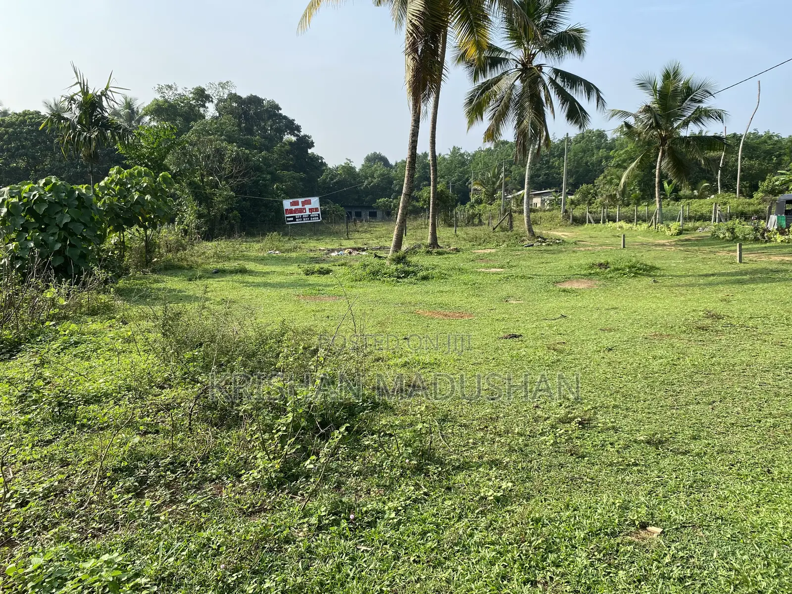 Land for Sale