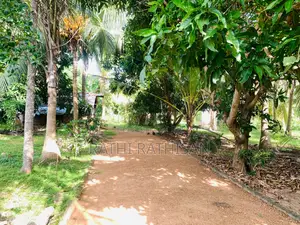 Vavuniya Nochimottai Land for Sale