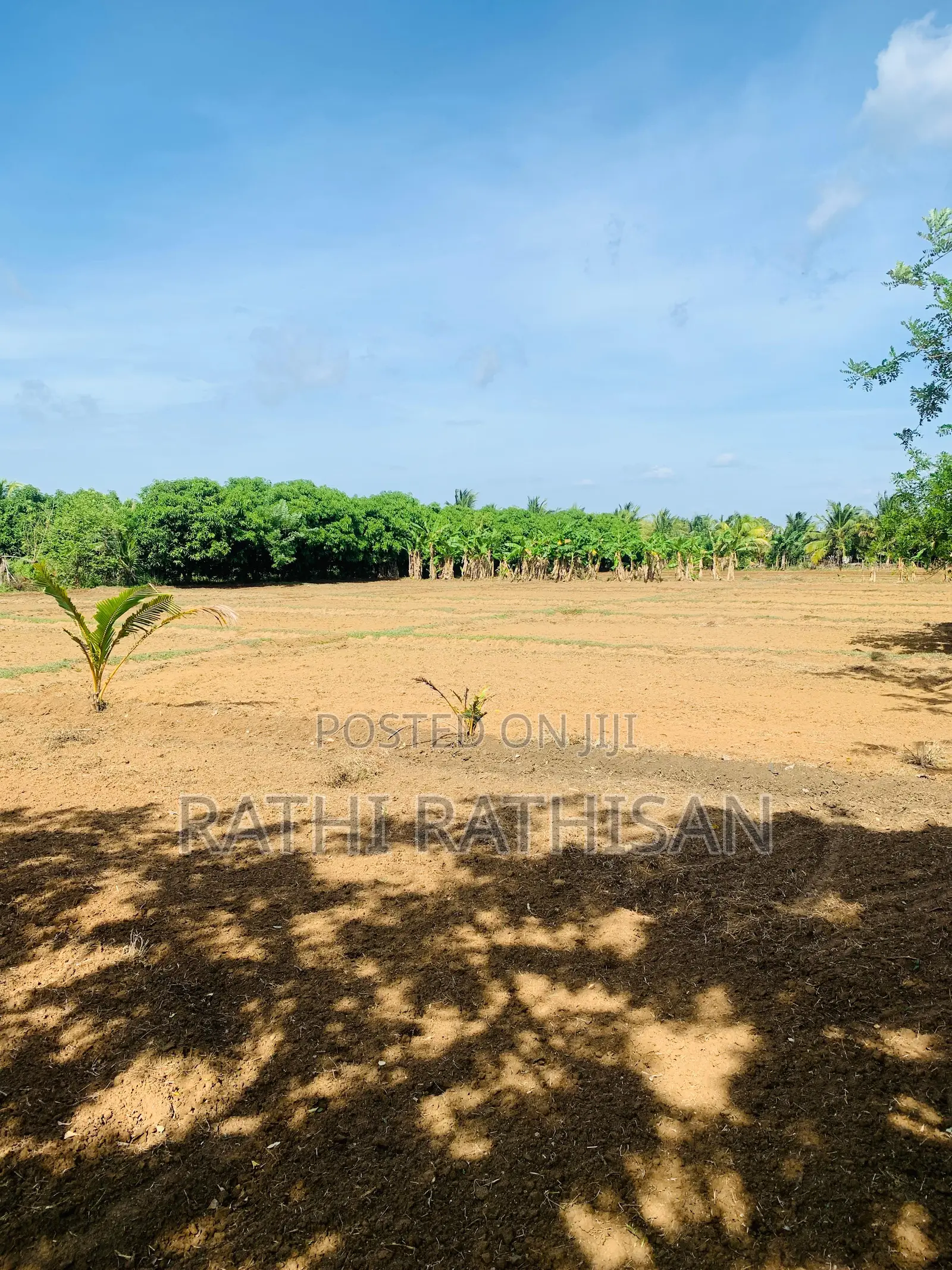 Vavuniya Nochimottai Land for Sale