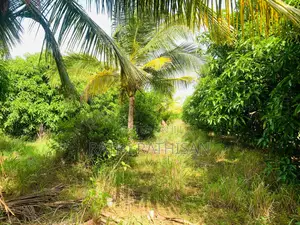 Vavuniya Nochimottai Land for Sale