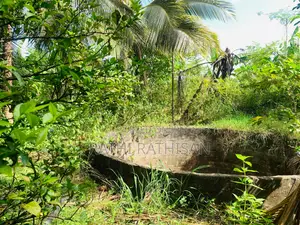 Vavuniya Nochimottai Land for Sale