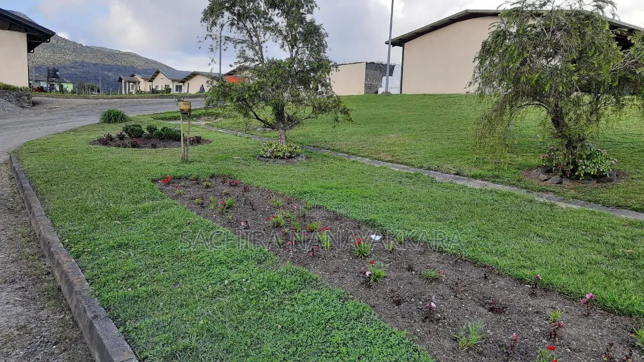 Landscaping and Agricultural Land Development