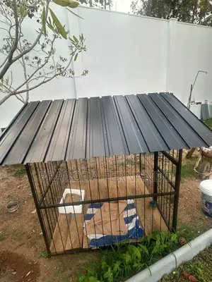 බලු කුඩුව Dog Cage