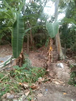 Prime Land for Sale Katubedda