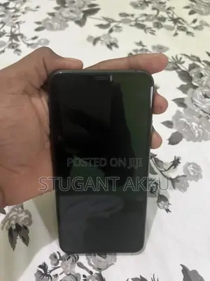 Apple iPhone 11 Pro Max 256 GB Gray