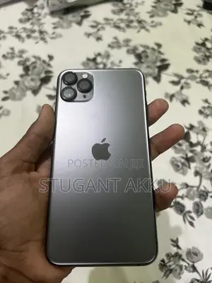 Apple iPhone 11 Pro Max 256 GB Gray