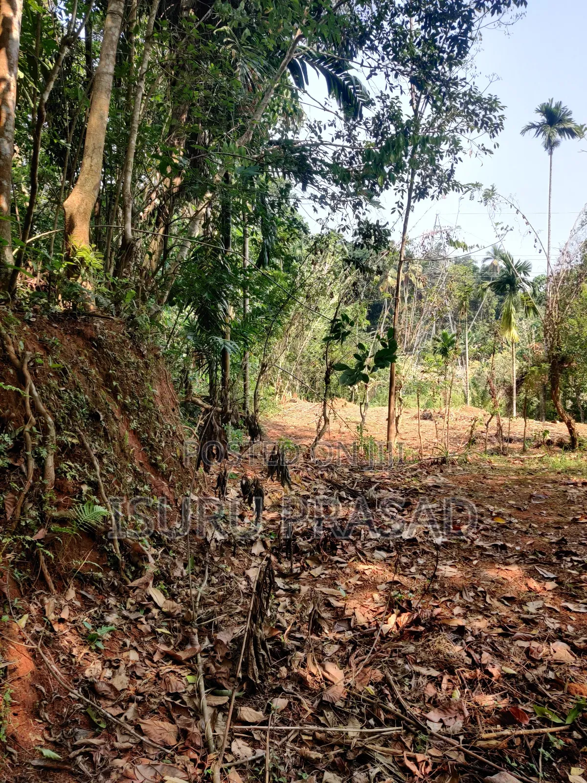 Land for Sale in Mawanalle