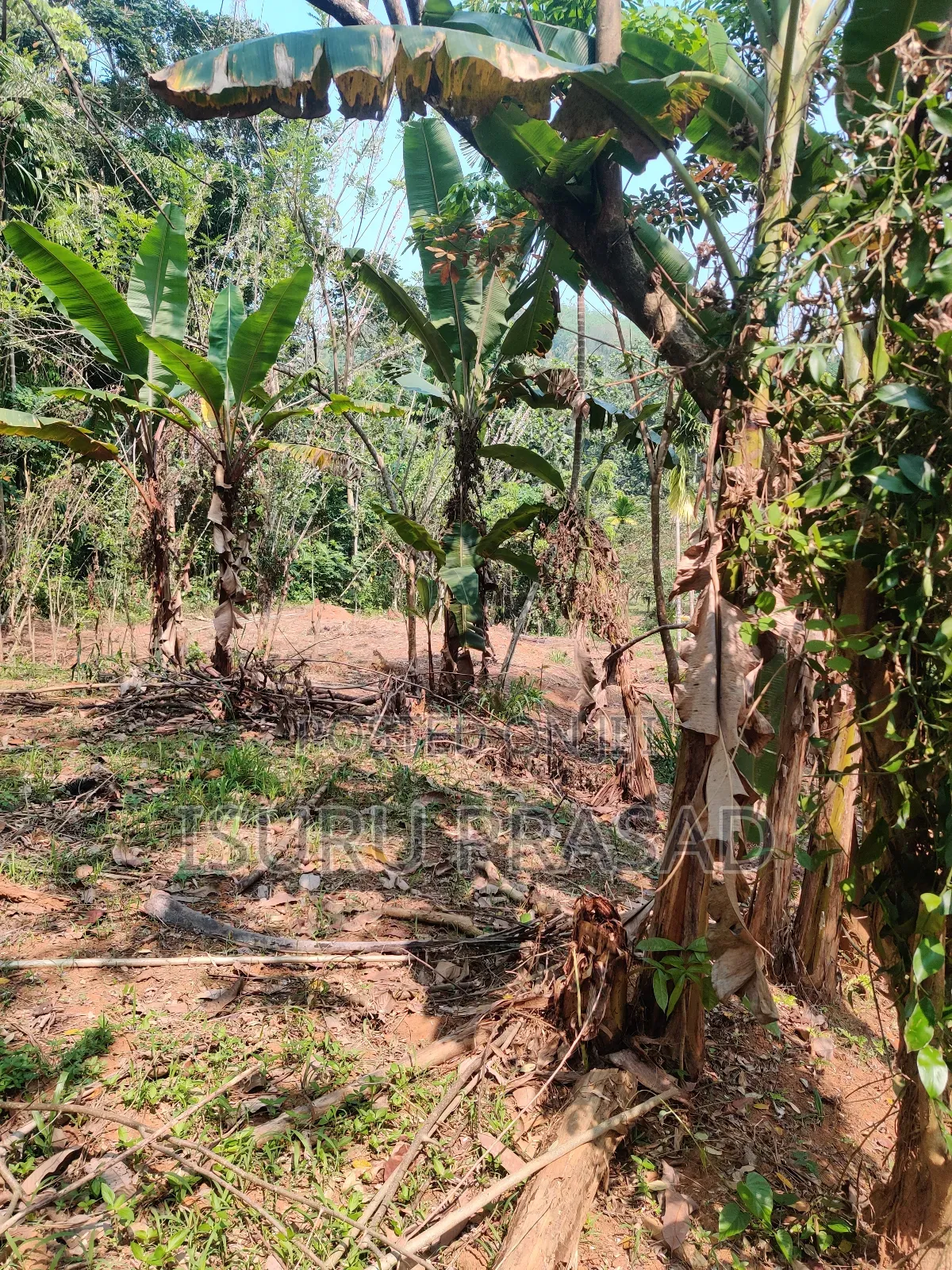 Land for Sale in Mawanalle