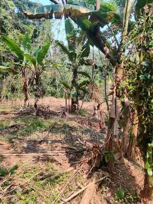 Land for Sale in Mawanalle
