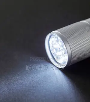 Torch Light