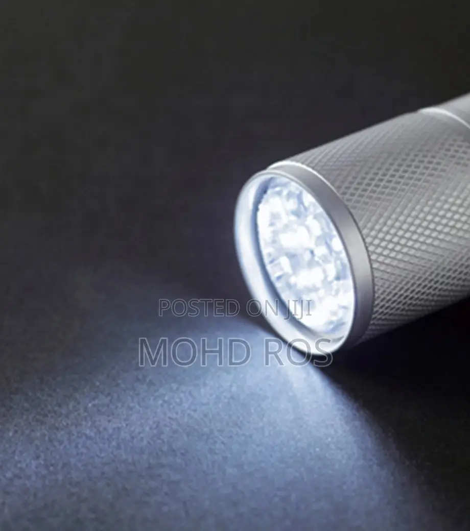 Torch Light