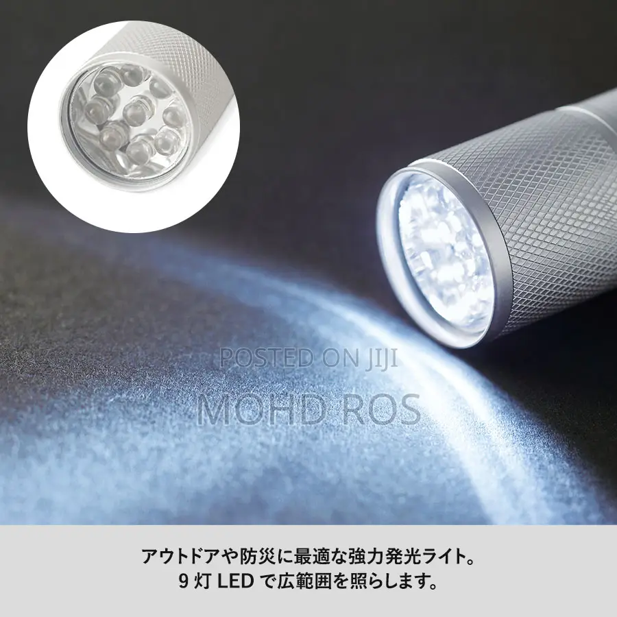 Torch Light