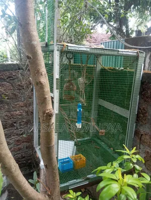 Aluminium Framed Cage