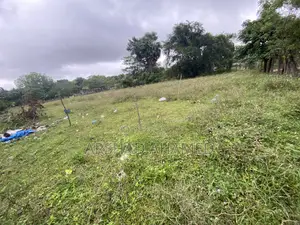 Land for Sale in Nawaladi