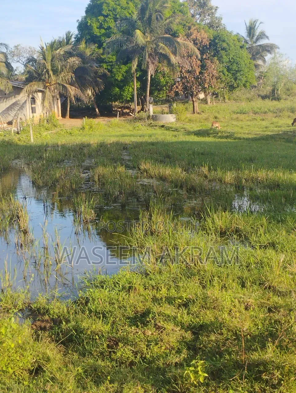Land For Sale
