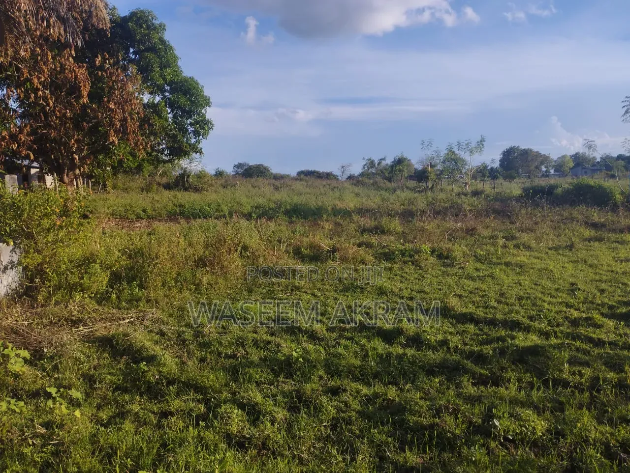 Land For Sale