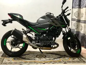 New Kawasaki 2025 Gray