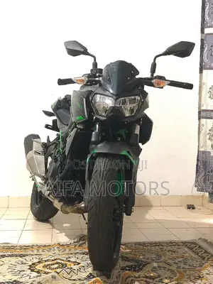 New Kawasaki 2025 Gray